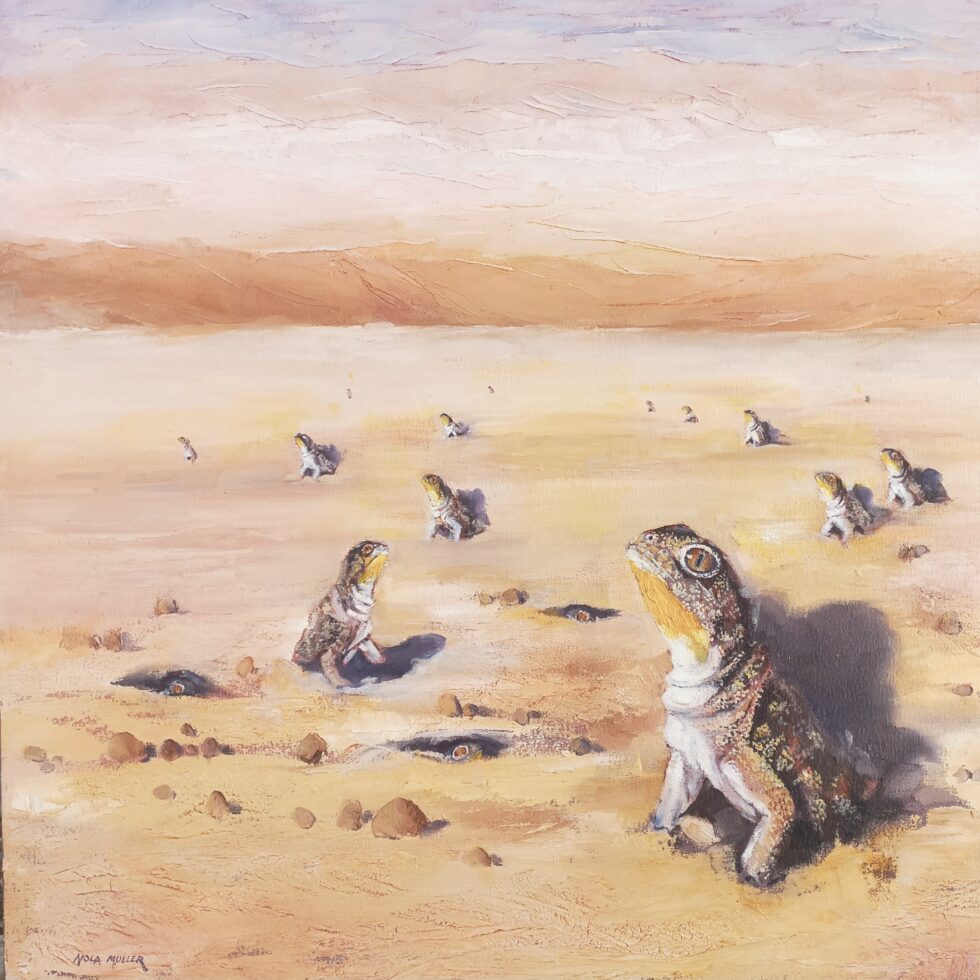 Barking geckos 70x70 Oil