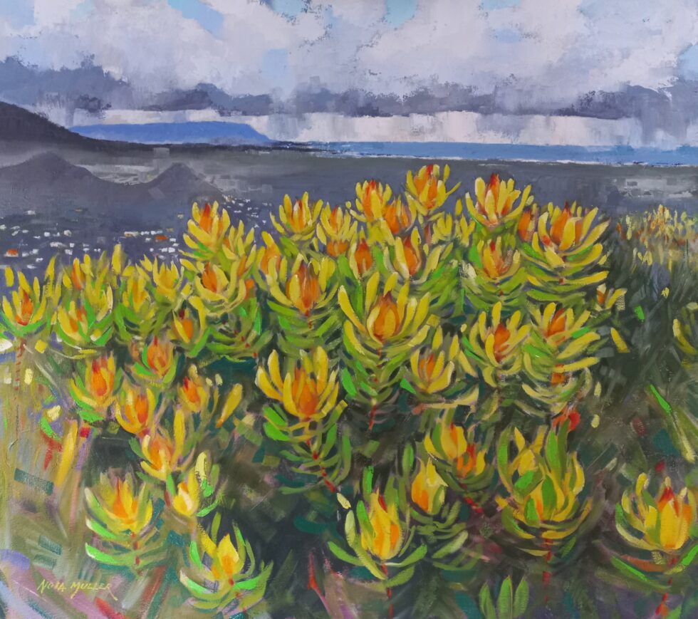 View over the valley 80x90 Oil