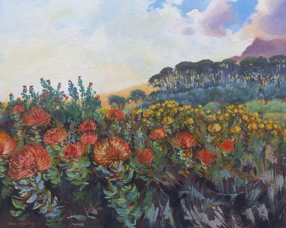 Noordhoek Flora 80 x 100 Oil